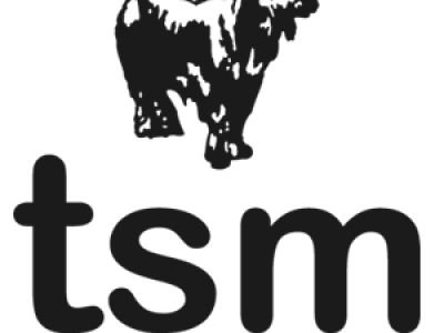 tsm