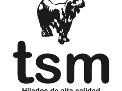 tsm